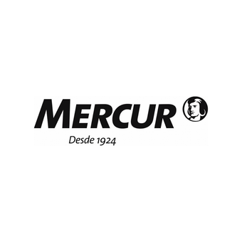 Logo_Mercur - Centro PCD